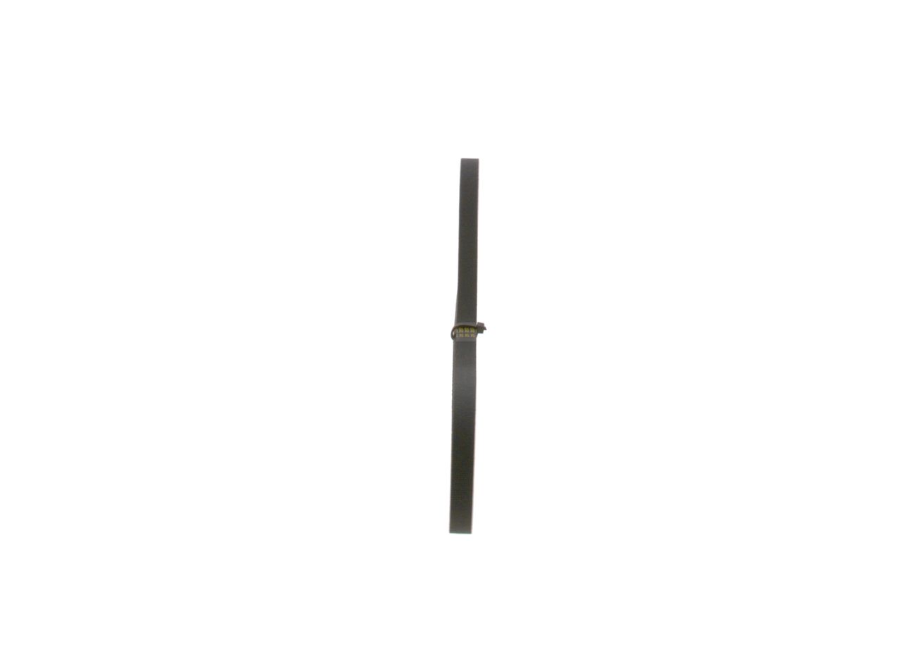 V-ribbed Belt-1