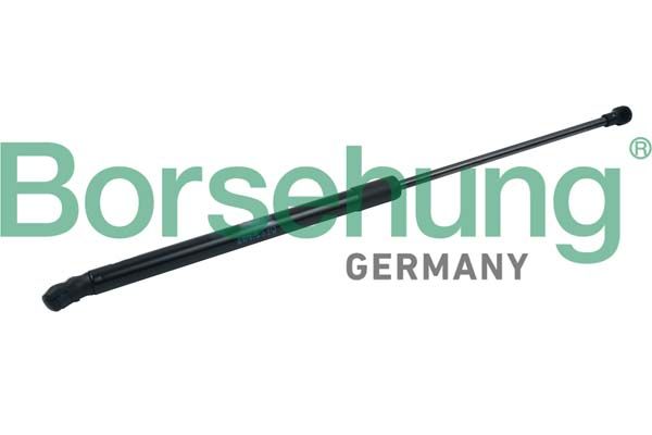 BORSEHUNG B14194 Gas spring, boot/cargo area