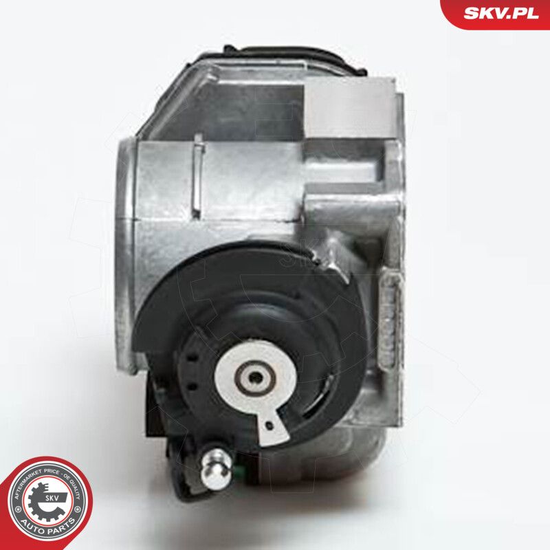 Throttle Body-1