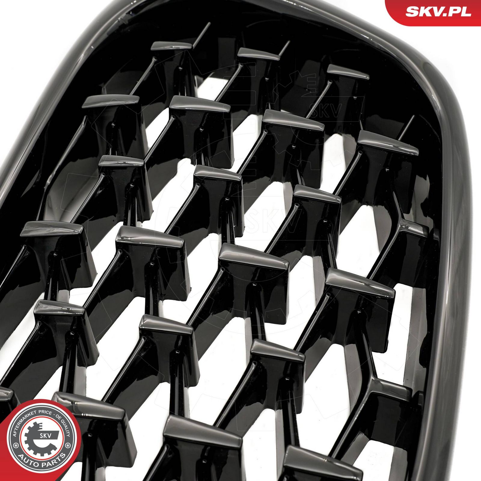 Radiator Grille-5
