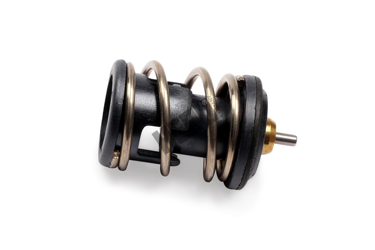 HEPU TM1247 Thermostat, coolant