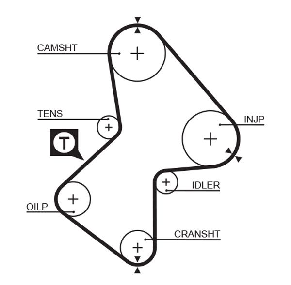 Timing Belt