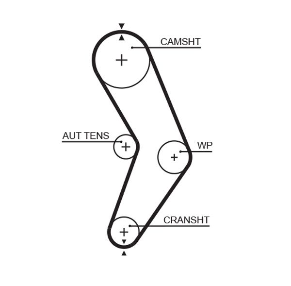 Timing Belt