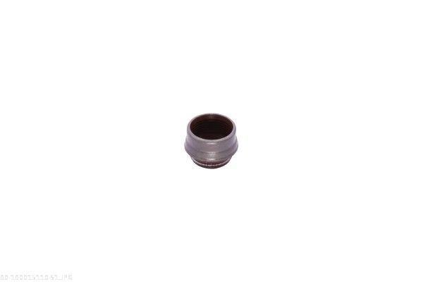 Seal Ring, valve stem-2