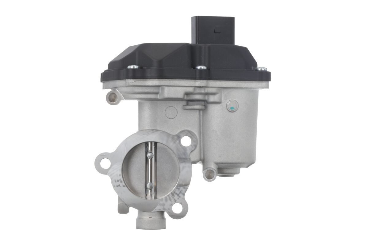 EGR Valve-1