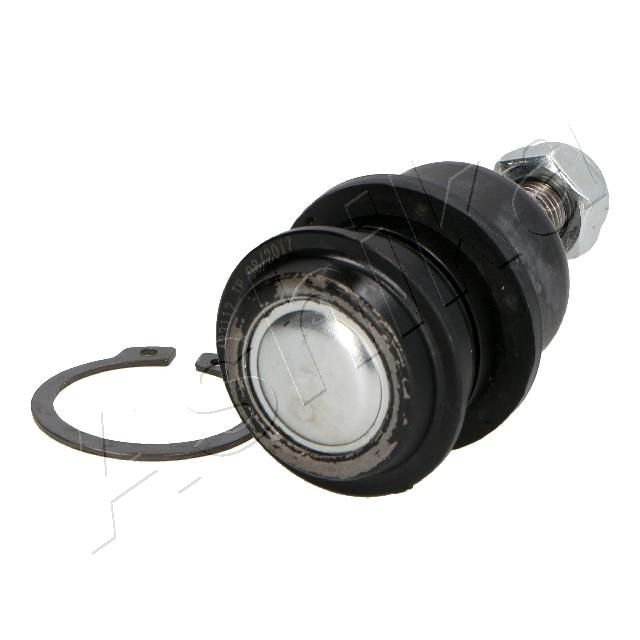 Šarnyras / girgždukas-2