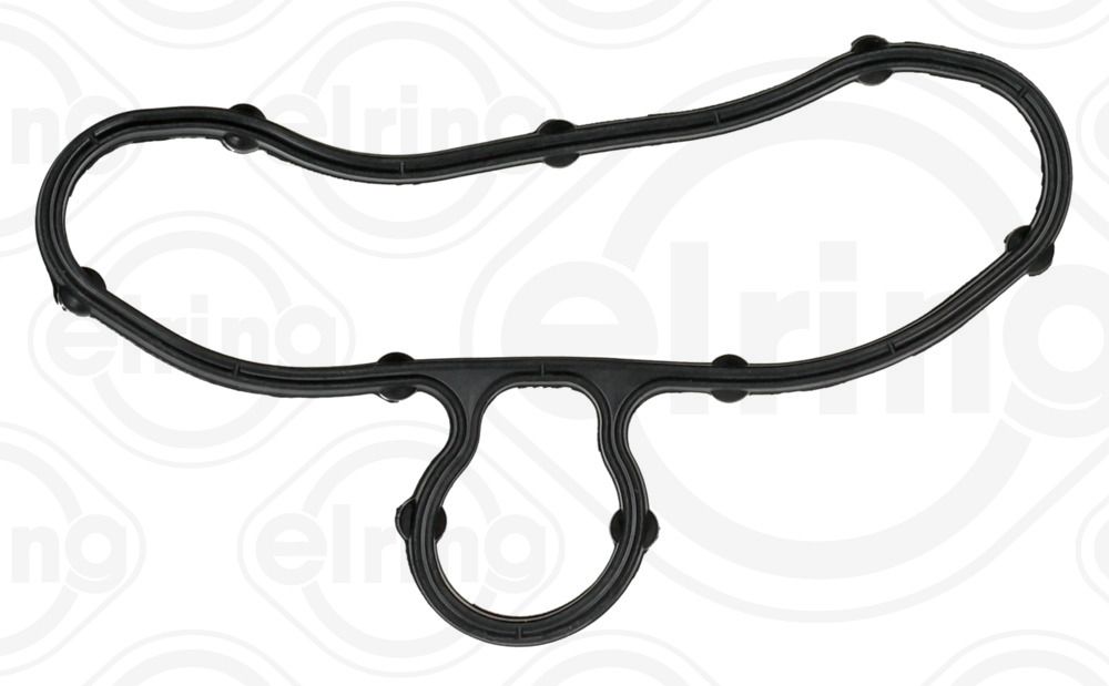 Gasket, timing case-1