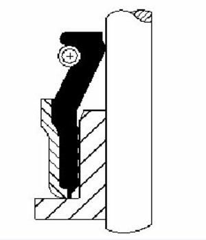 Seal Ring, valve stem-2