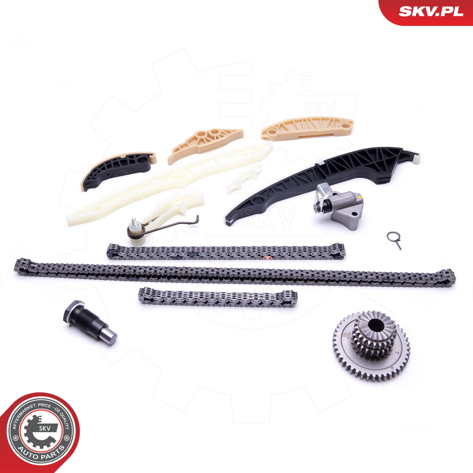 ESEN SKV 21SKV139 Timing chain kit
