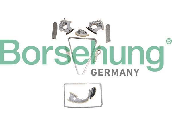 BORSEHUNG B10242 Timing chain kit