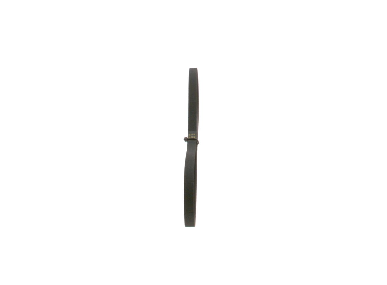 V-ribbed Belt-3