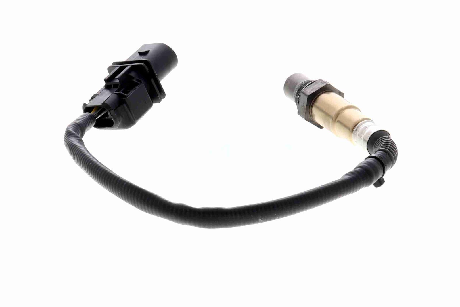 Oxygen Sensor-6
