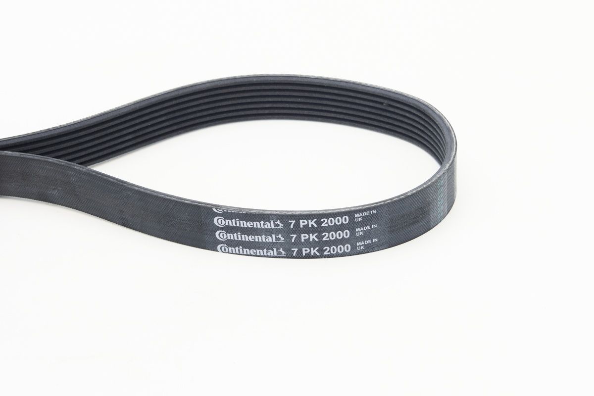 CONTINENTAL CTAM 7PK2000 V-ribbed belt