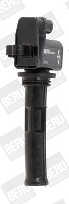 BORGWARNER (BERU) ZS549 Ignition coil