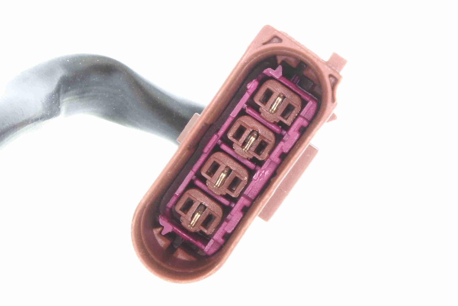 Oxygen Sensor-1