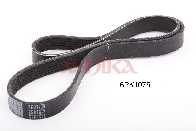 ASHIKA 112-6PK1075 V-ribbed belt
