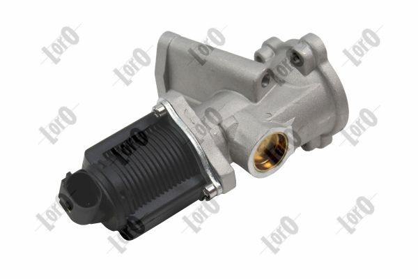 EGR Valve-1
