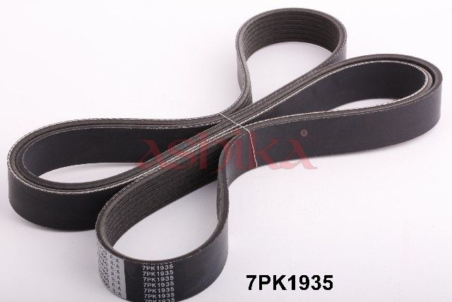 V-ribbed Belt-main