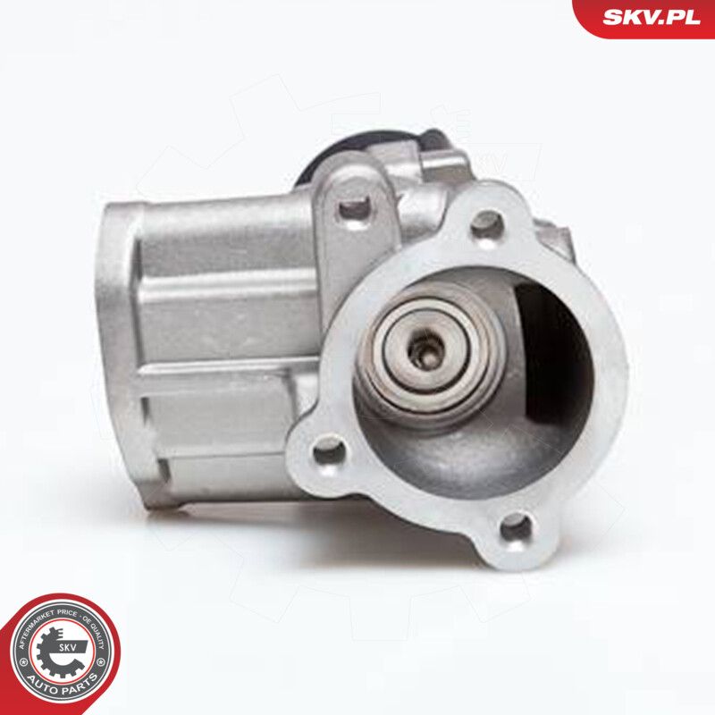 EGR Valve-2