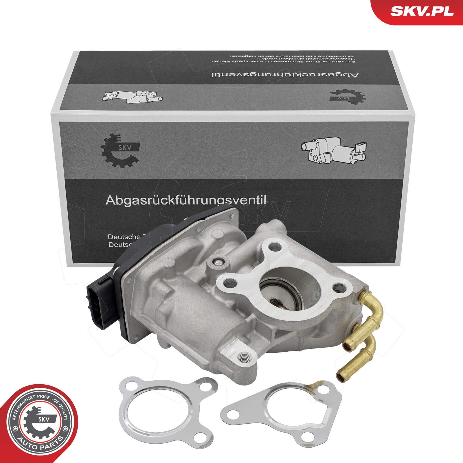 EGR Valve-6