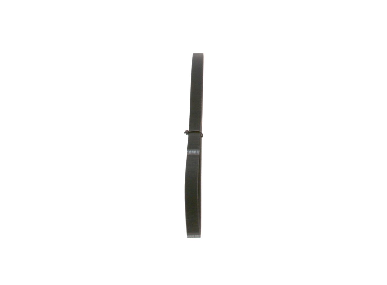 V-ribbed Belt-1