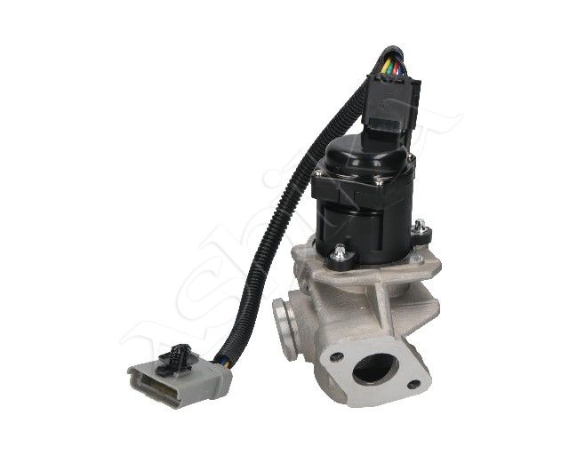 EGR Valve-1
