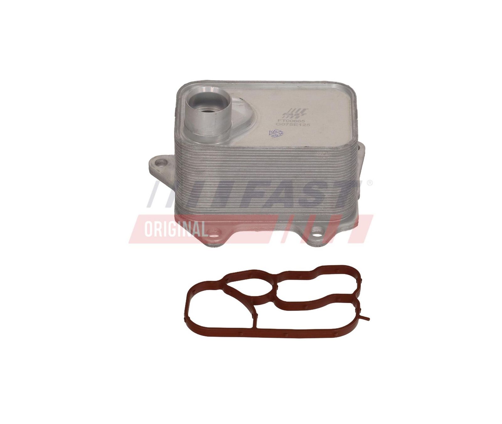 Oil Cooler, engine oil-2