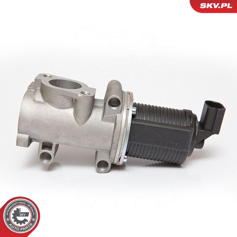 ESEN SKV 14SKV055 Egr valve