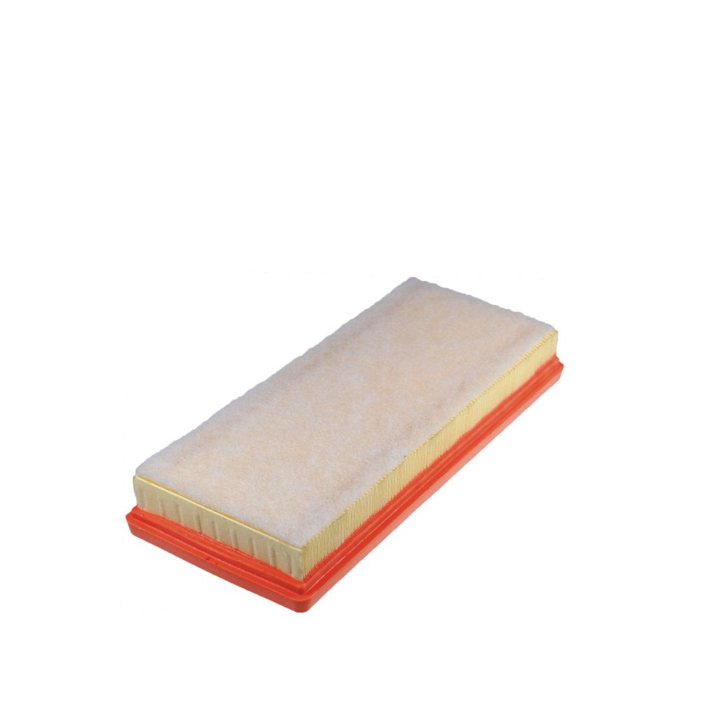 FILTRON AP 195/2 Air filter