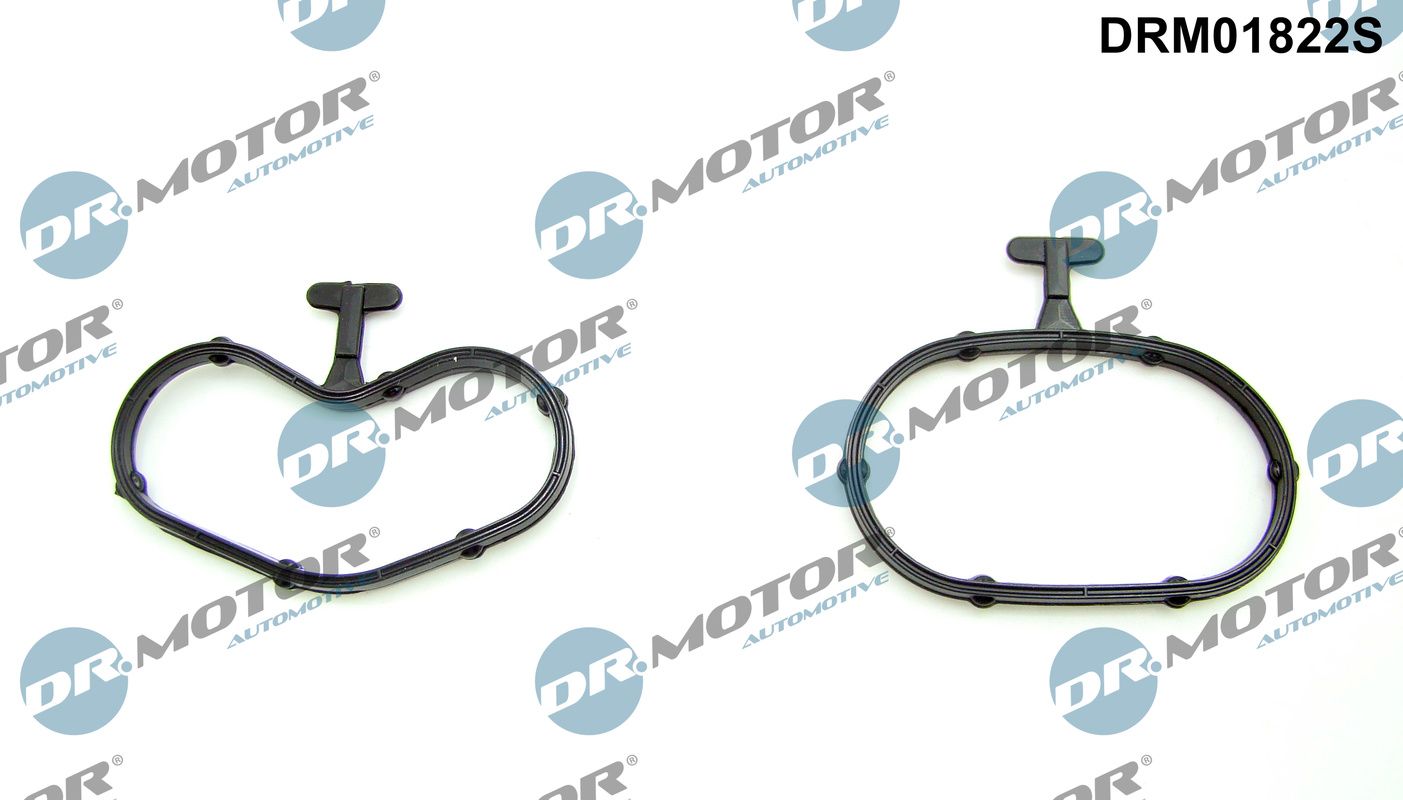 DR.MOTOR AUTOMOTIVE DRM01822S Gasket set, oil cooler