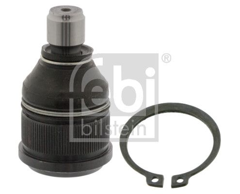 Šarnyras / girgždukas