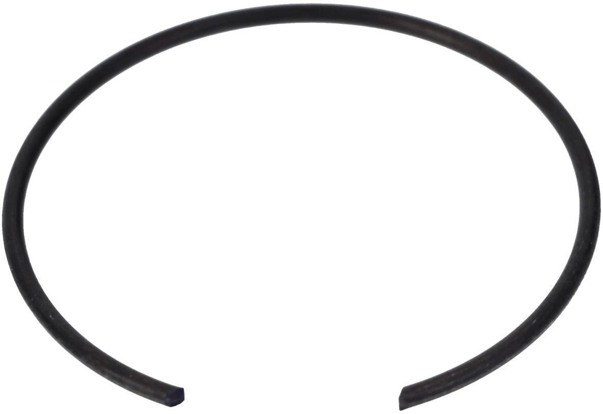 Šarnyras / girgždukas-3