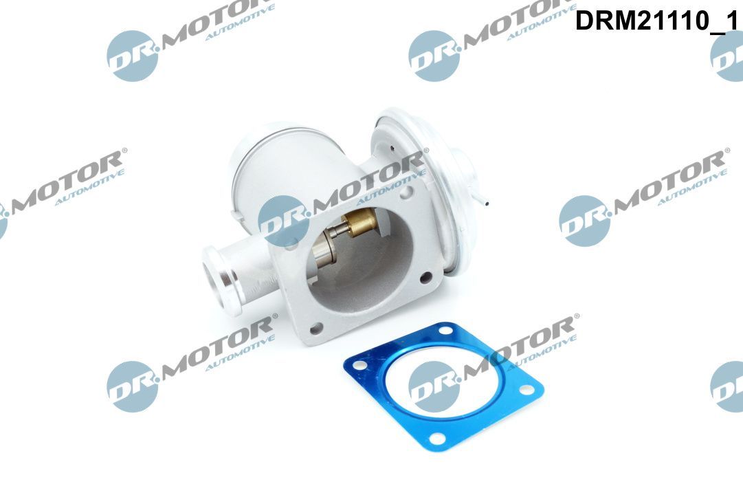 EGR Valve-1