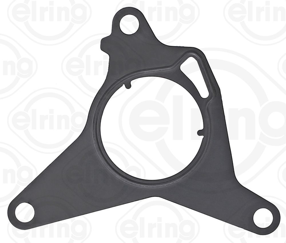 Gasket, vacuum pump