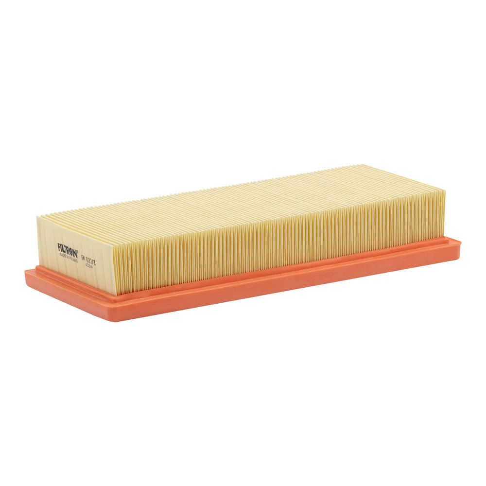 FILTRON AP 022/1 Air filter