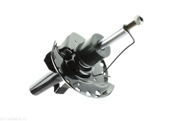 AUTOMEGA 110018010 Shock absorber