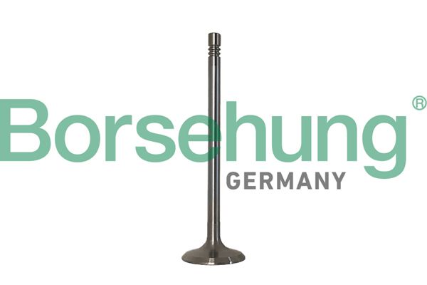 BORSEHUNG B10347 Intake valve
