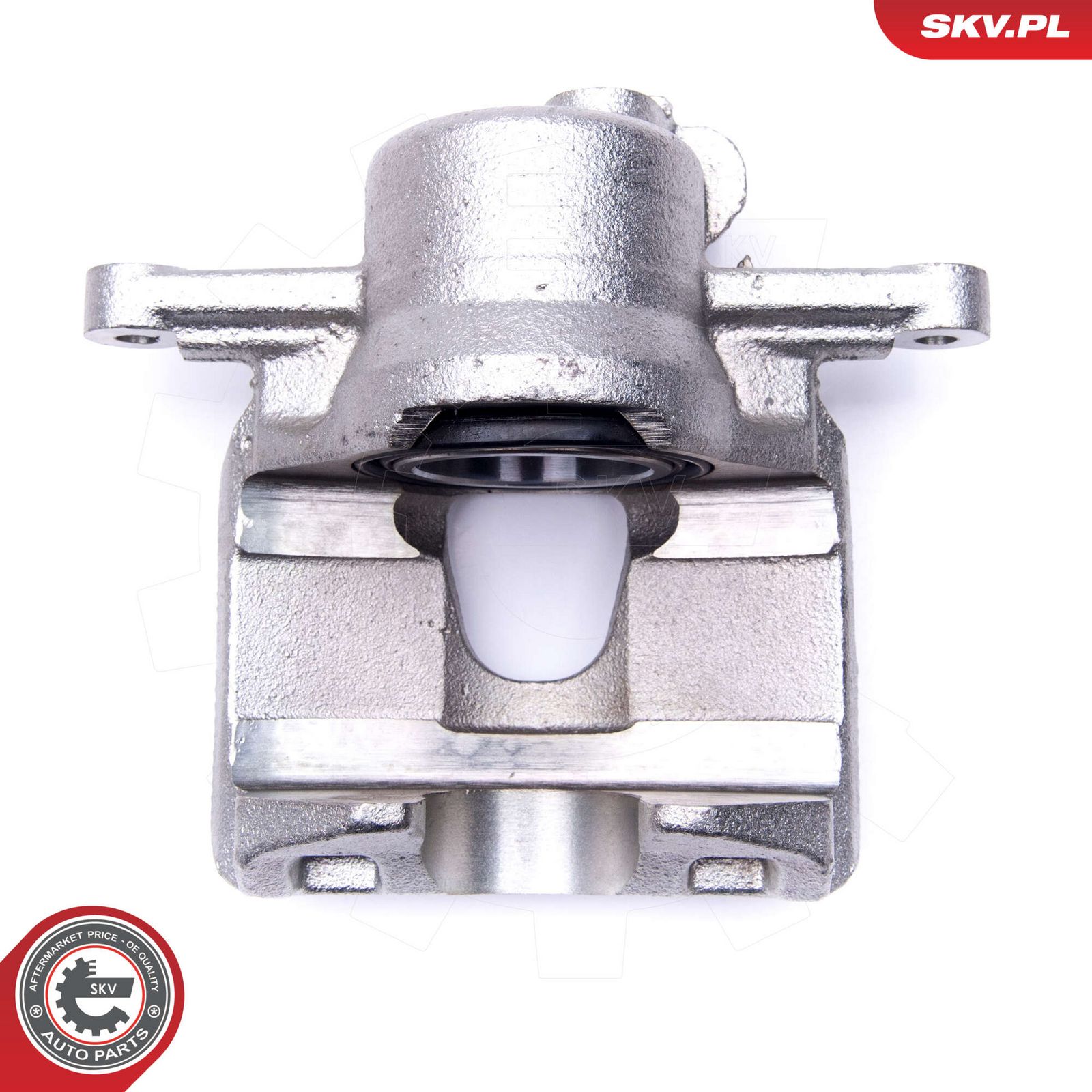 Brake Caliper-2