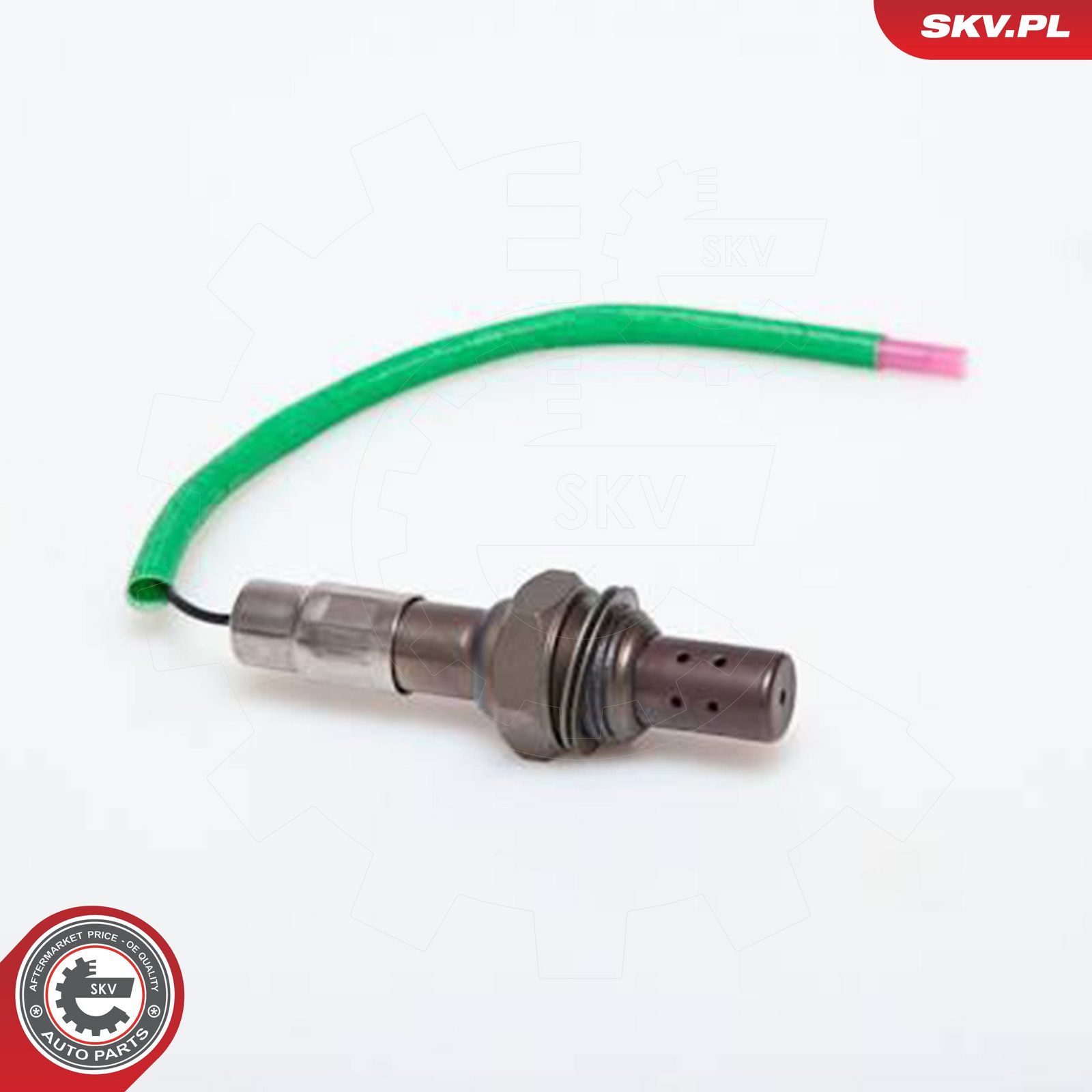 Oxygen Sensor
