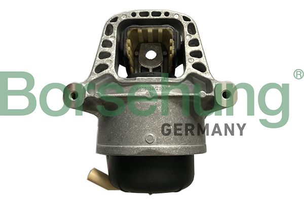 BORSEHUNG B19134 Mounting, engine