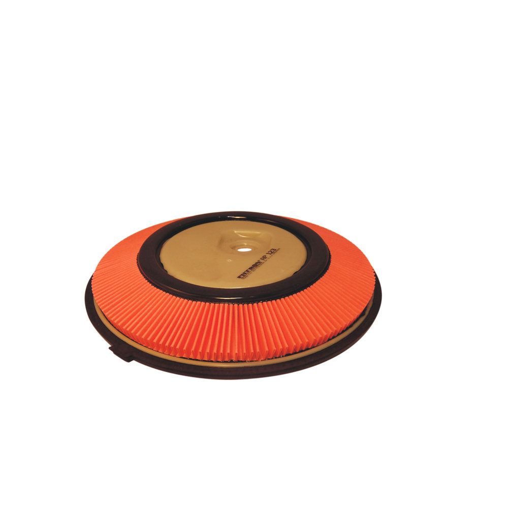 FILTRON AP 123 Air filter