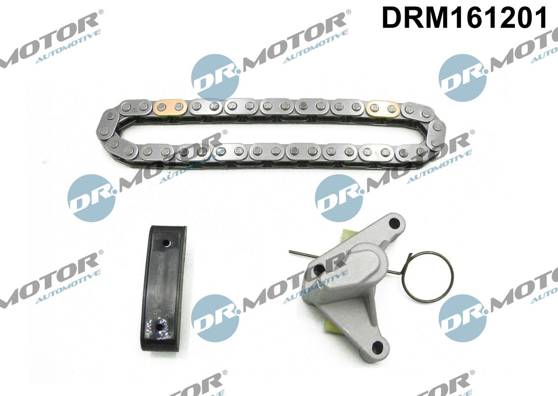 DR.MOTOR AUTOMOTIVE DRM161201 Timing chain kit