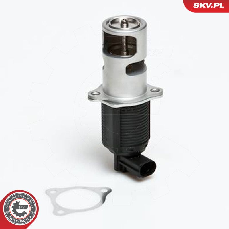 EGR Valve-4