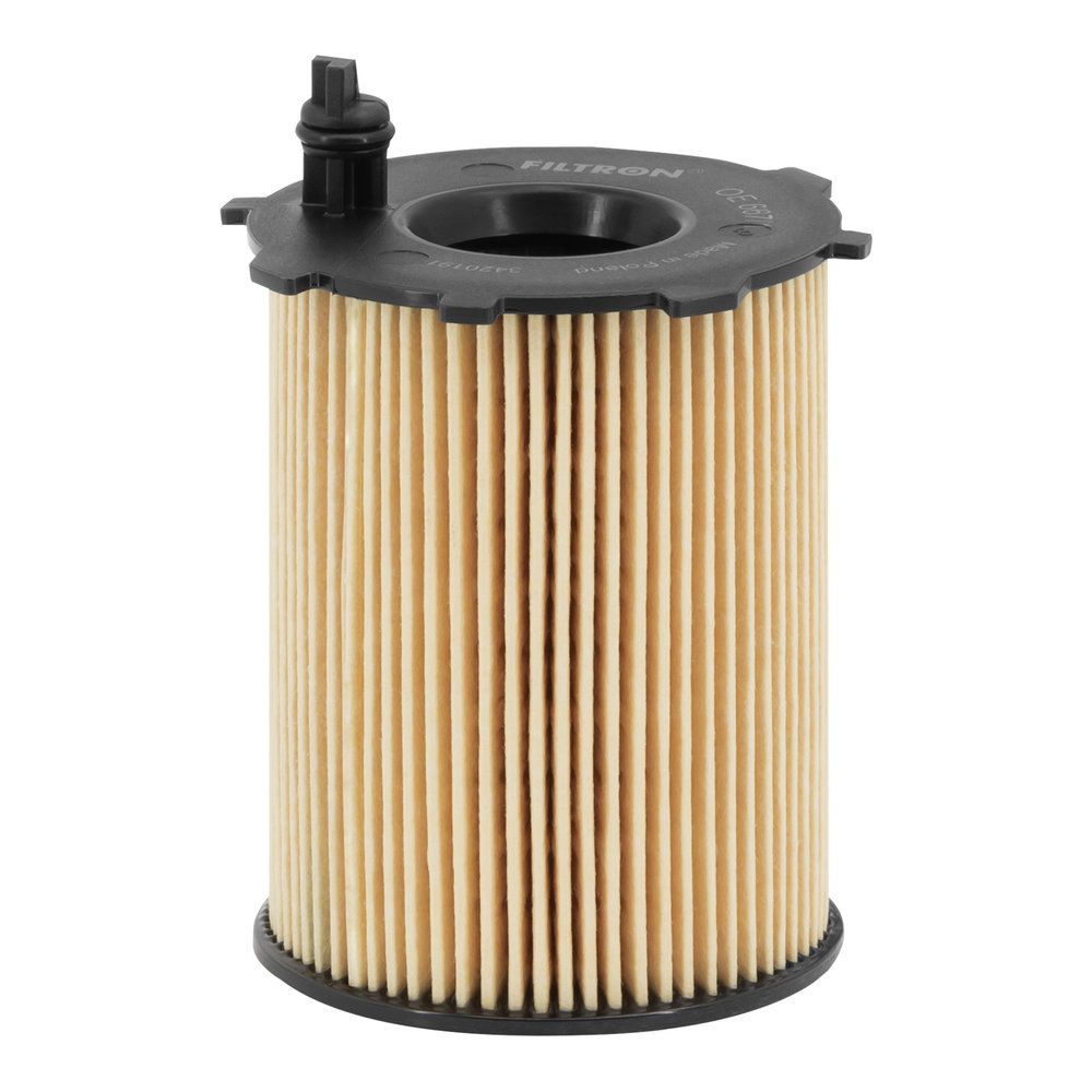 FILTRON OE 667/1 Oil filter