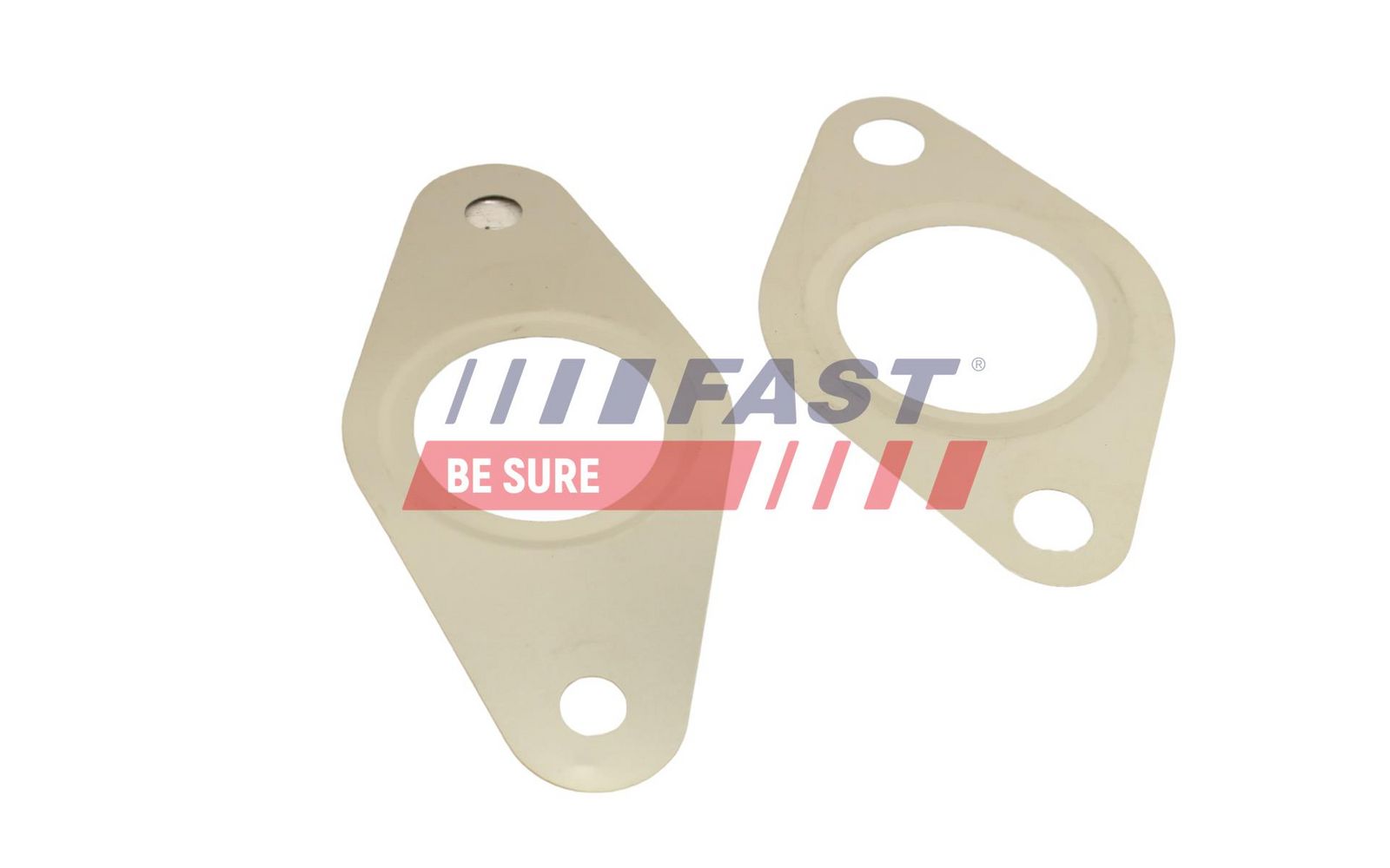 FAST FT50621 Gasket set, egr system