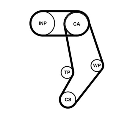 Timing Belt Kit-1