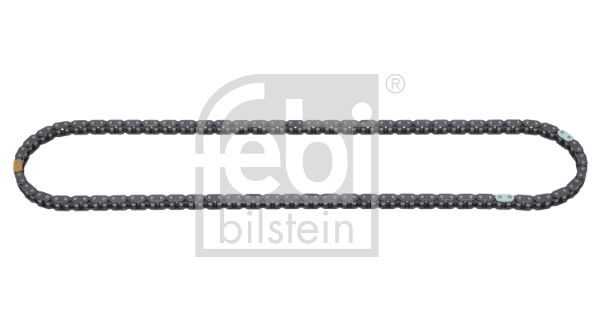 FEBI BILSTEIN 100067 Timing chain