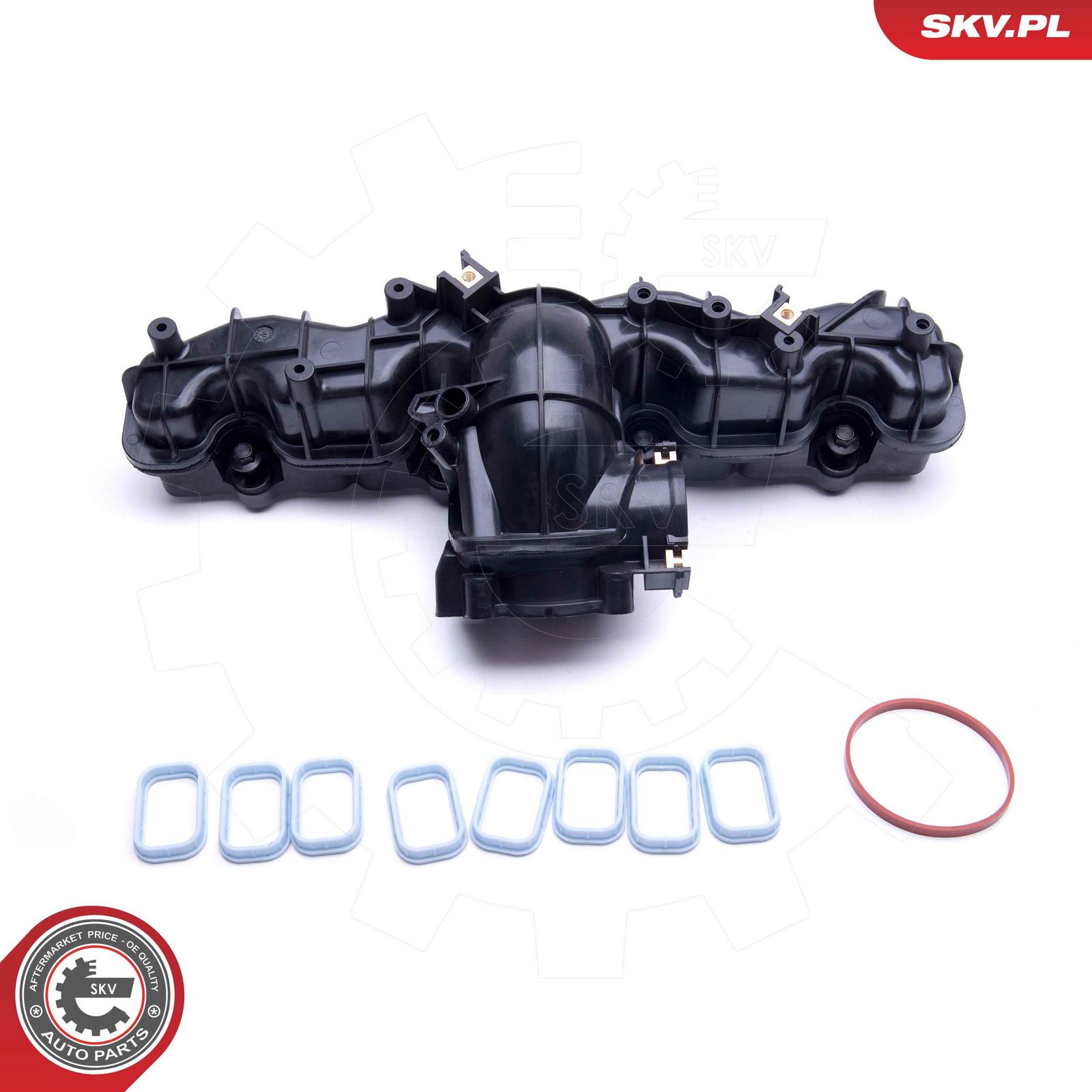 ESEN SKV 49SKV033 Intake manifold module