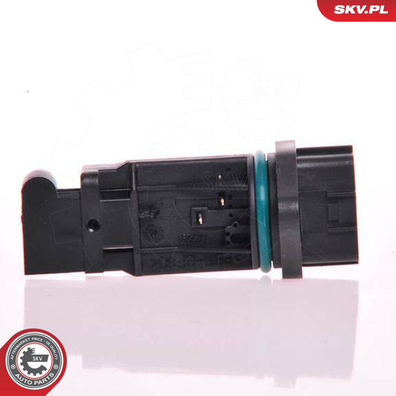 Mass Air Flow Sensor-1