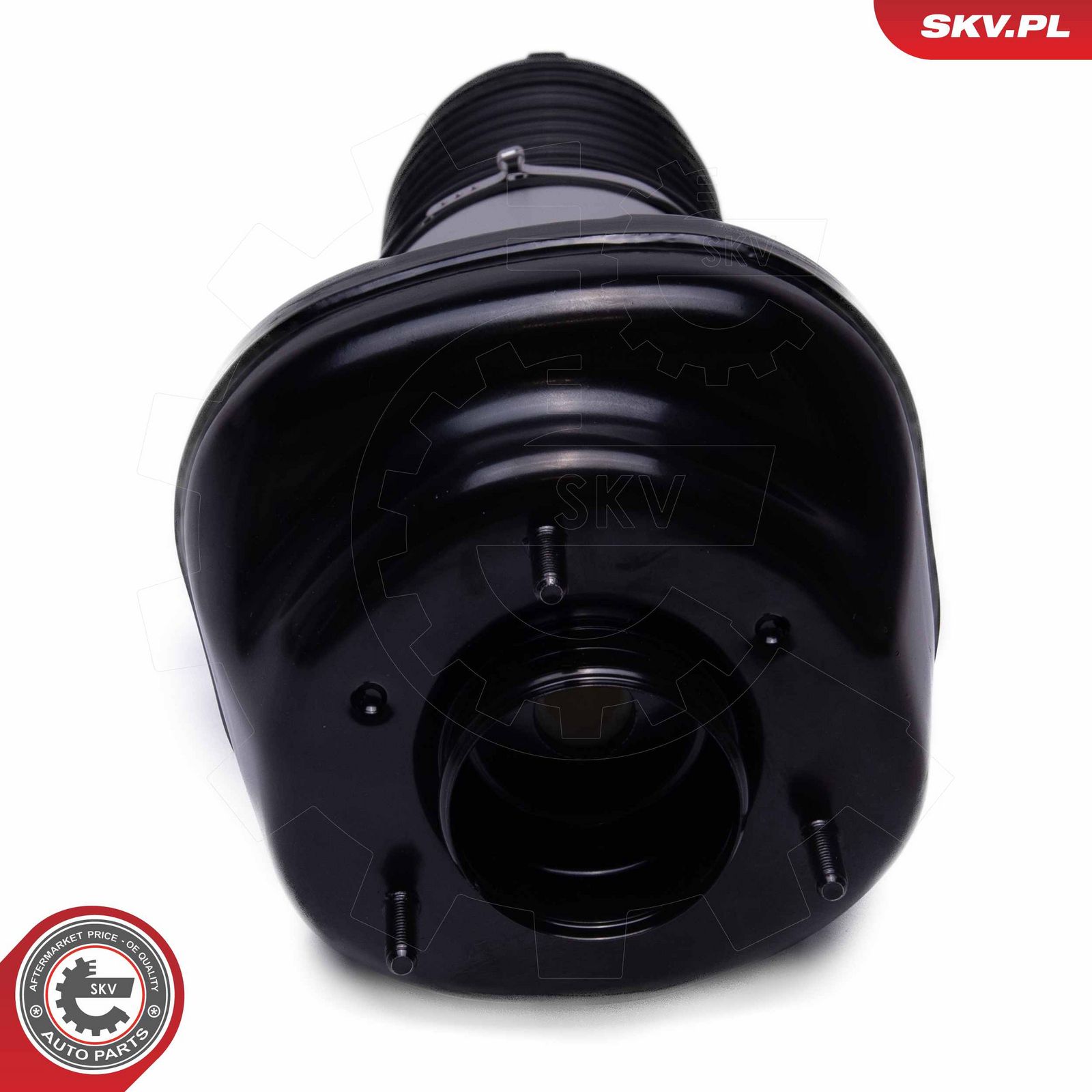 Air Suspension Strut-1